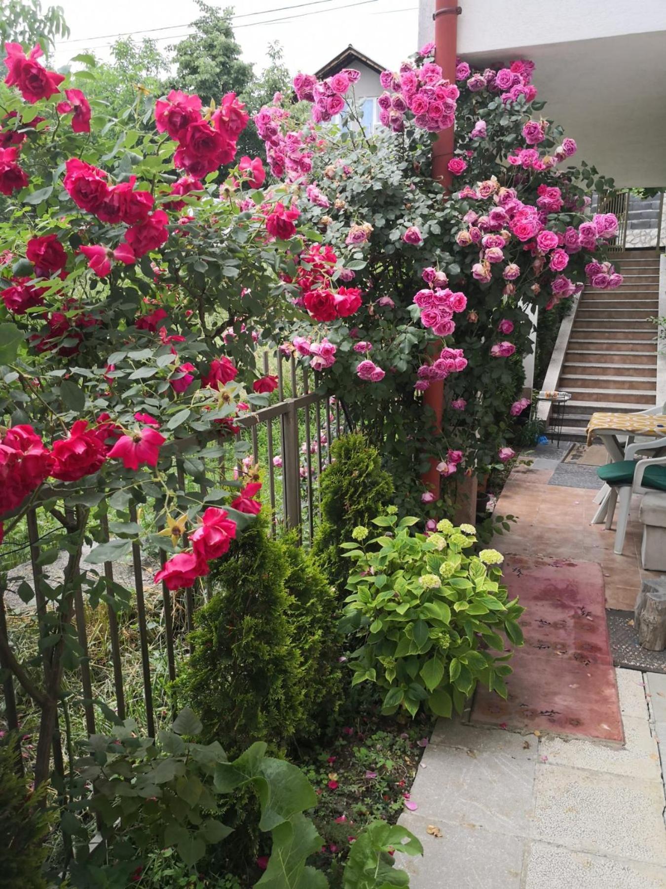 Rest & Recharge 4Bdr Apt- Free Parking, Ac & Garden SJJ Exterior photo